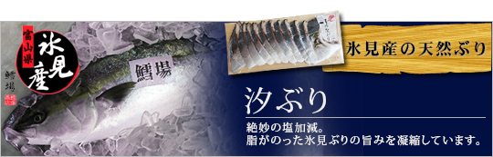 干物のお取り寄せ通販 富山氷見 マルヤ鱈場水産